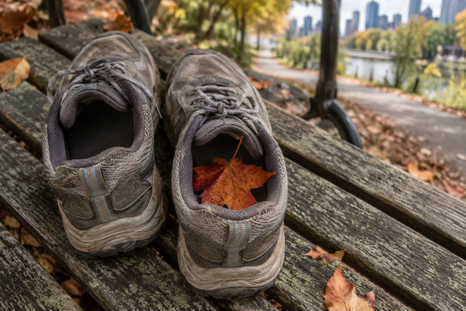 Cost of Therapy & Affordable Counseling in Melbourne (2026 Guide)